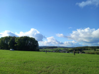 /album/2023/drachenfest-1-jpg/